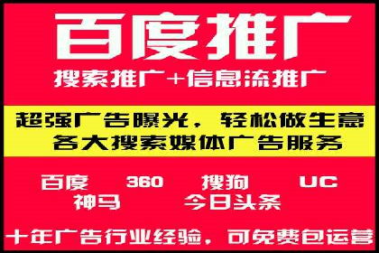 SEM代运营服务公司案例分析：数据驱动营销策略